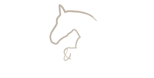 Wortbildmarke_Bezeichnung_weiß_500